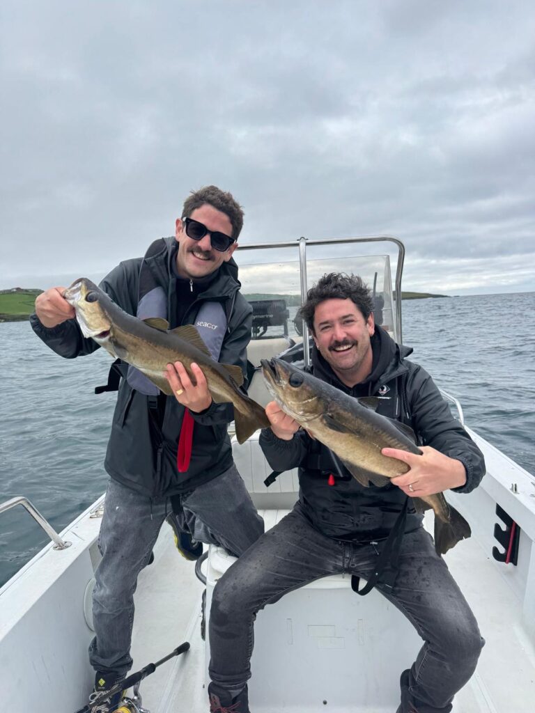 3b30e4da 0b49 4366 b3ba a14d2f85b535