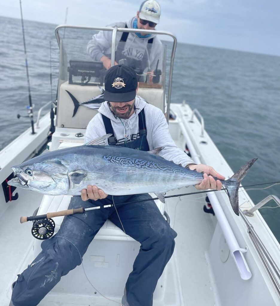 51922251 81f8 48d6 8dca 5f8603e27baf