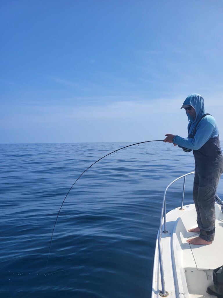 54706b3b d945 4a9e 9337 273b6c6d34be